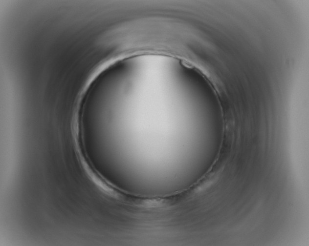 X0000114441523200910161345