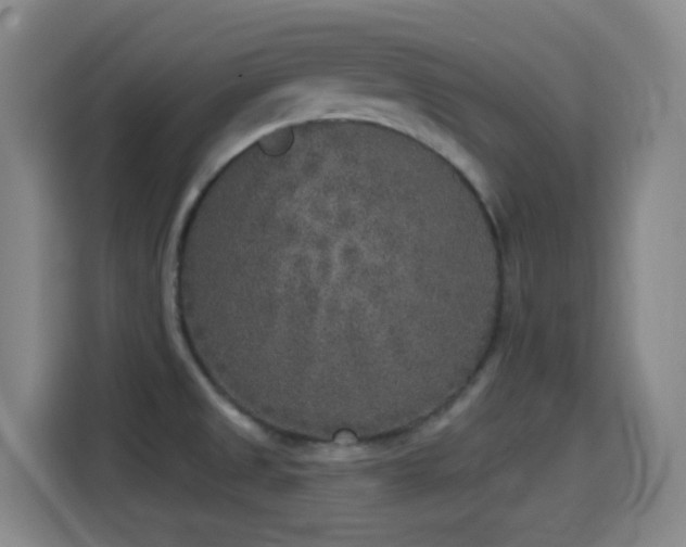 X0000114441525200910161345
