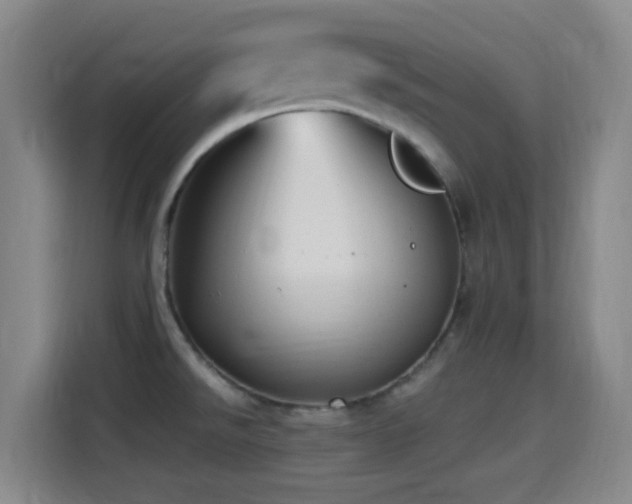 X0000114441526200910161345