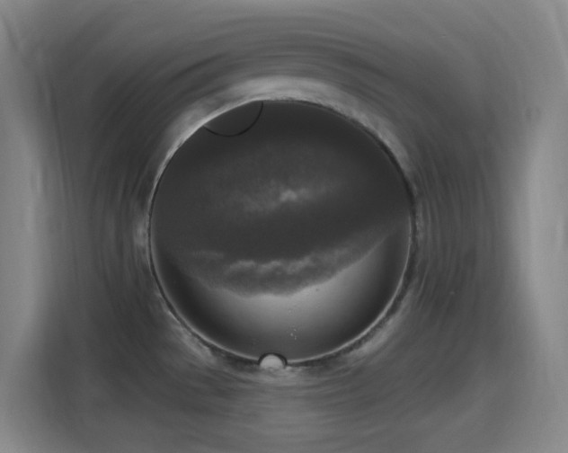 X0000114441529200910161345