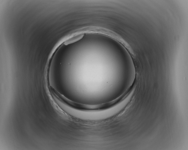 X0000114441530200910161345