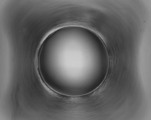 X0000114441531200910161345