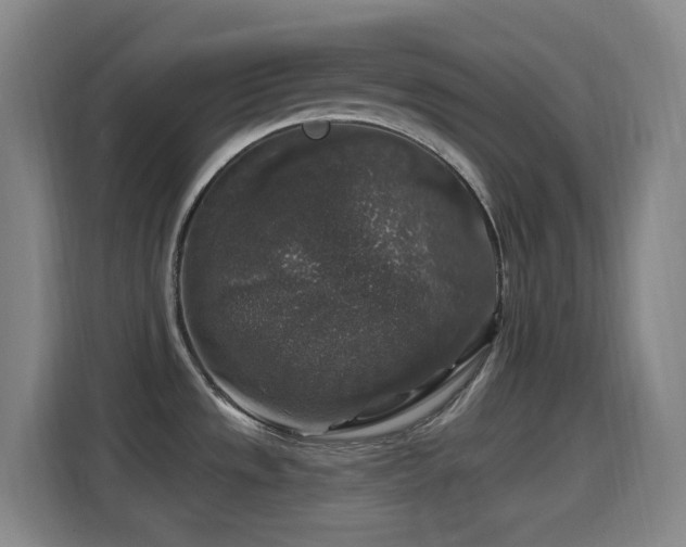 X0000114441533200910161345