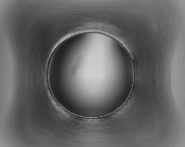 X0000114441534200910161345