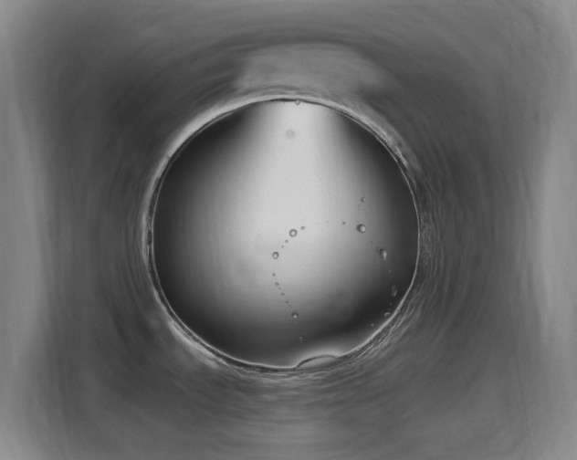 X0000114441535200910161345
