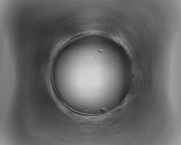 X0000114440001200910231327