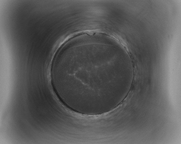 X0000114440002200910231327