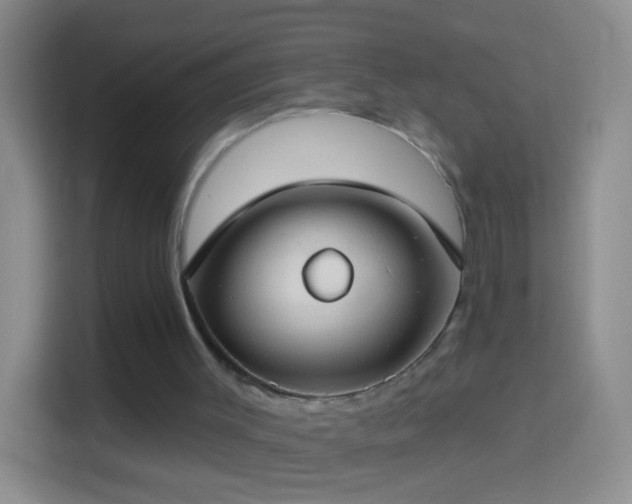 X0000114440003200910231327