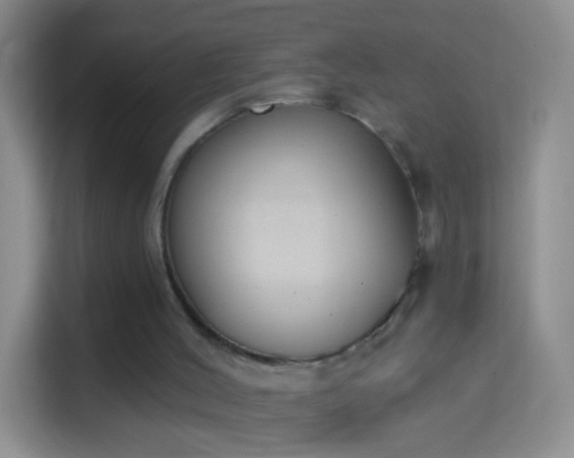 X0000114440004200910231327