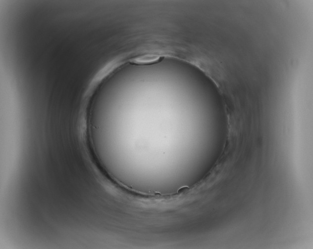 X0000114440005200910231327