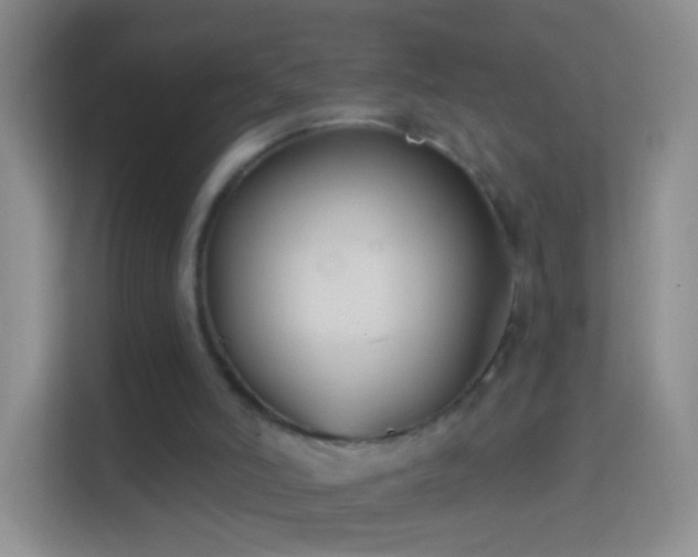 X0000114440006200910231327