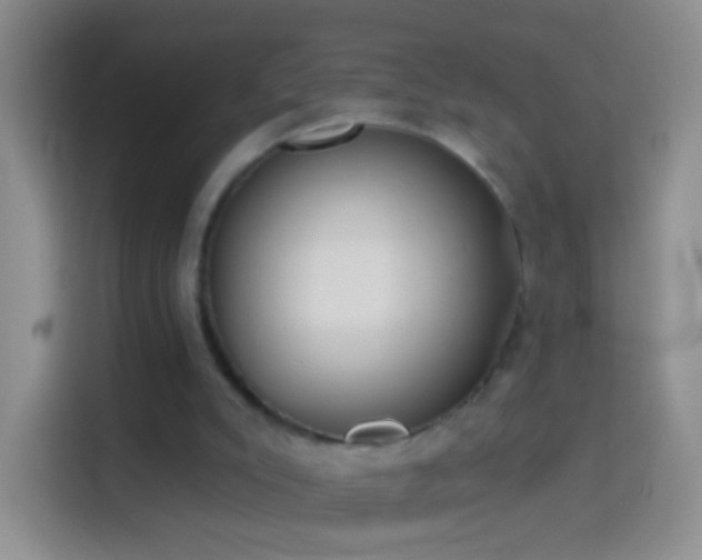 X0000114440007200910231327