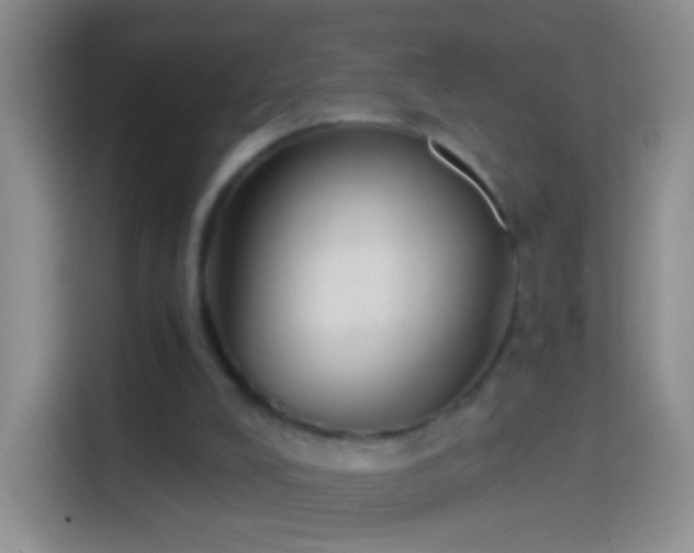 X0000114440008200910231327