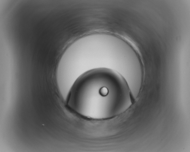 X0000114440009200910231327