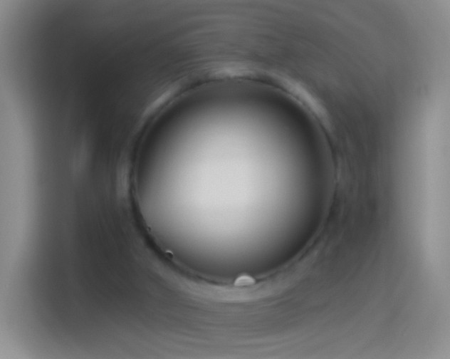 X0000114440010200910231327