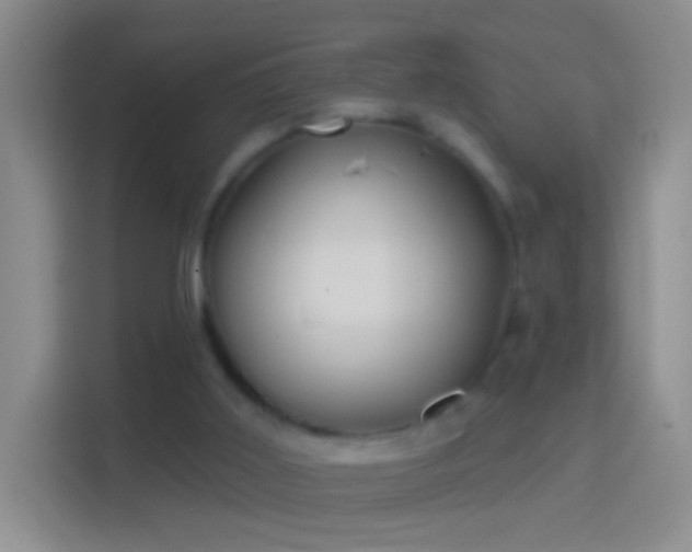 X0000114440011200910231327