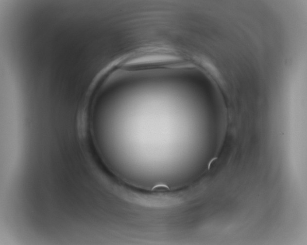 X0000114440012200910231327