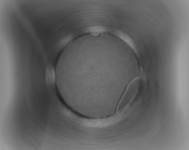 X0000114440013200910231327