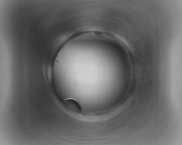 X0000114440014200910231327