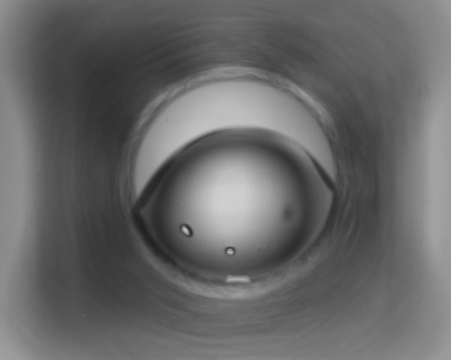 X0000114440015200910231327