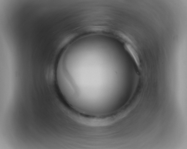 X0000114440016200910231327