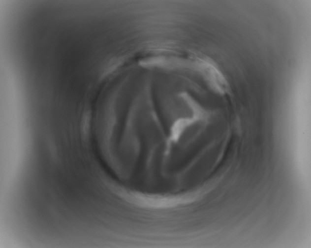 X0000114440018200910231327