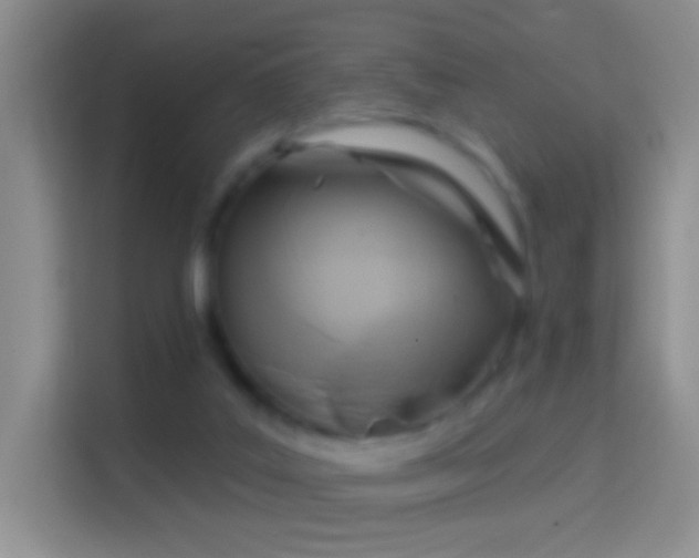 X0000114440019200910231327