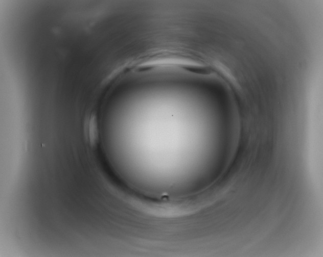 X0000114440020200910231327