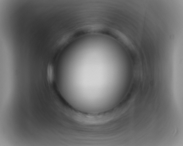 X0000114440022200910231327