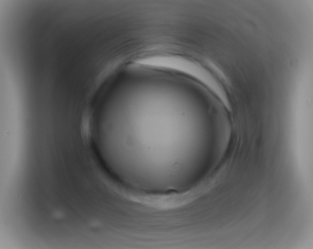 X0000114440023200910231327