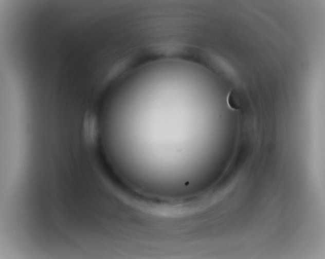 X0000114440024200910231327