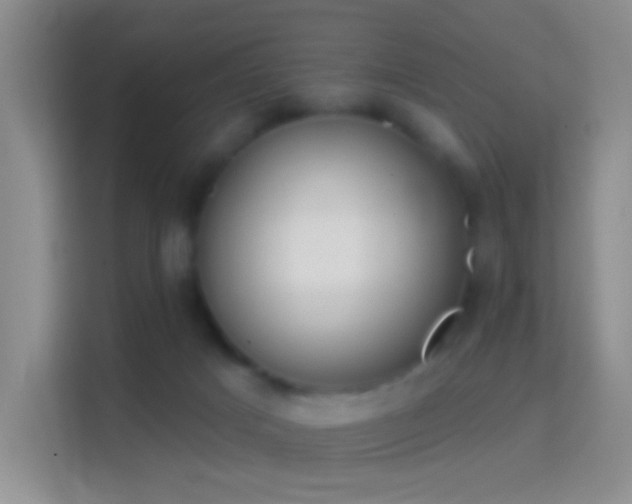 X0000114440025200910231327