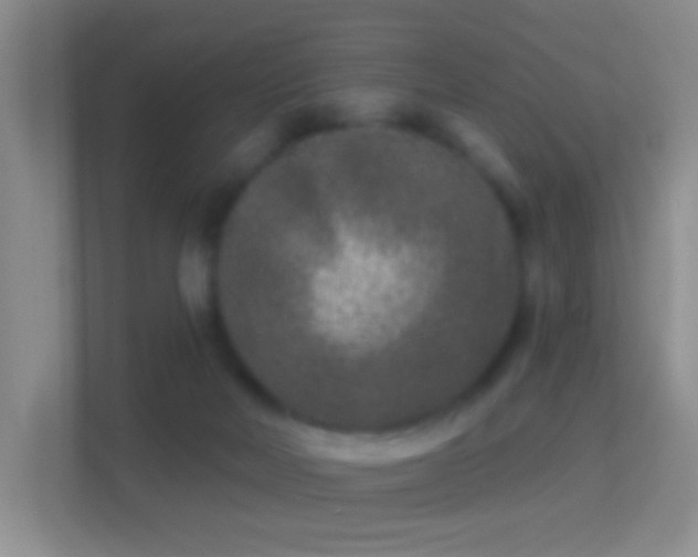 X0000114440026200910231327