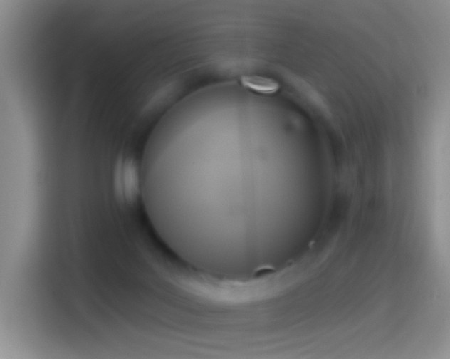 X0000114440027200910231327