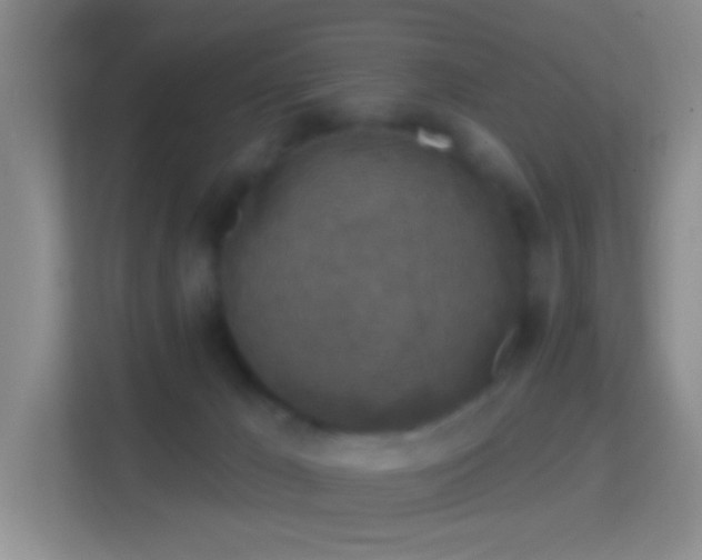 X0000114440029200910231327