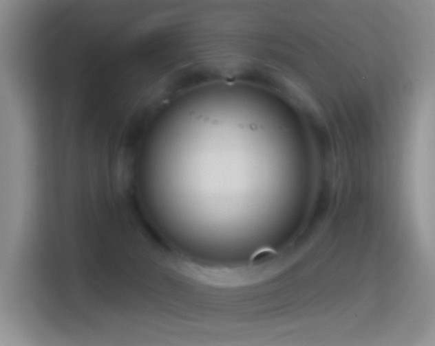 X0000114440030200910231327