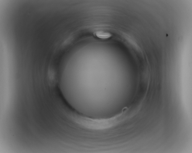 X0000114440031200910231327