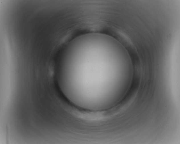 X0000114440032200910231327