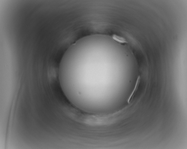 X0000114440033200910231327