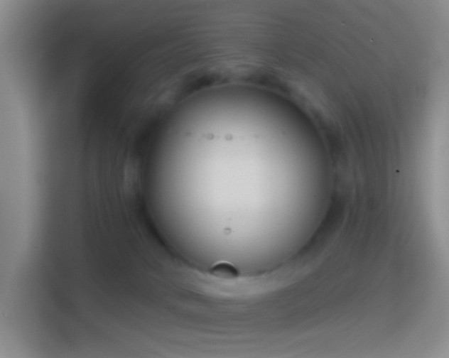 X0000114440034200910231327