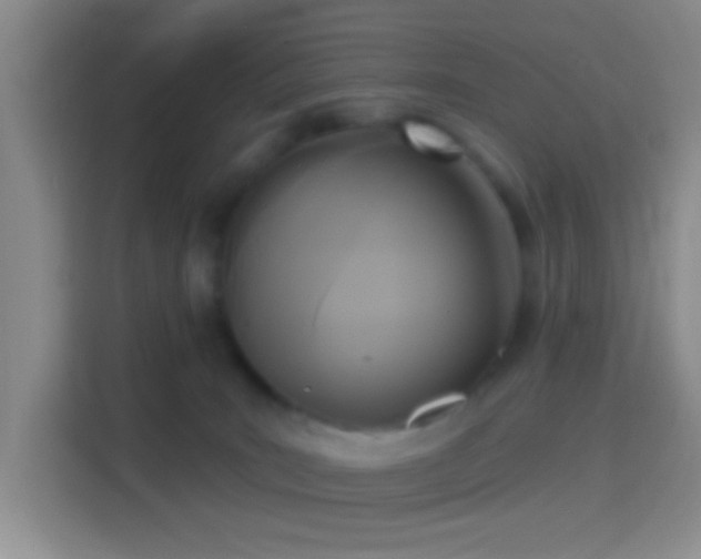 X0000114440035200910231327