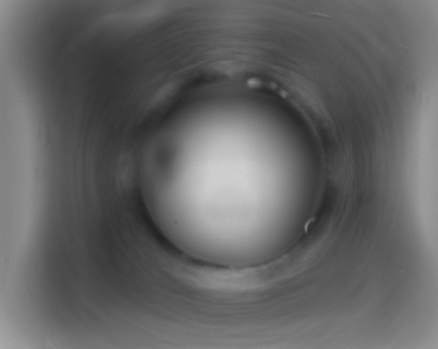 X0000114440036200910231327