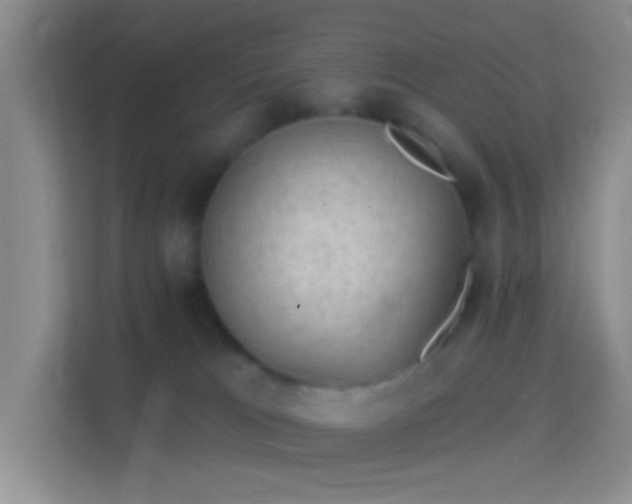 X0000114440037200910231327