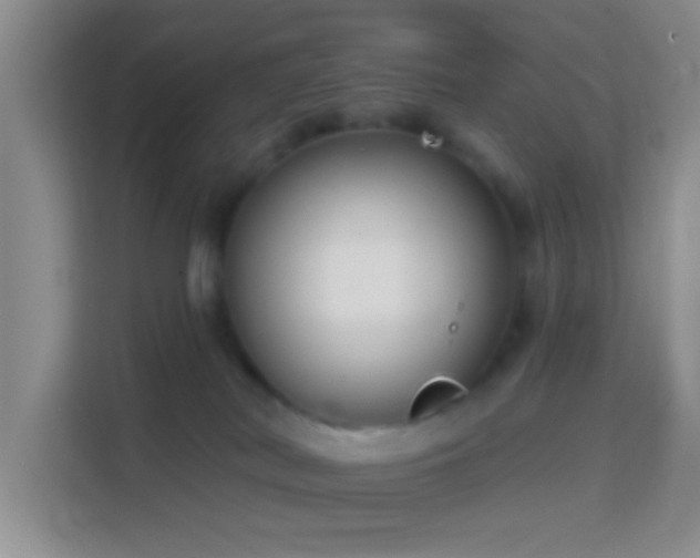 X0000114440038200910231327