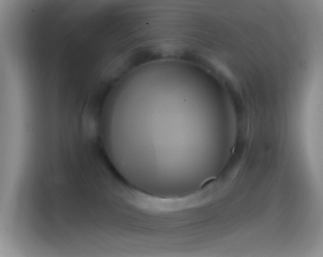 X0000114440039200910231327