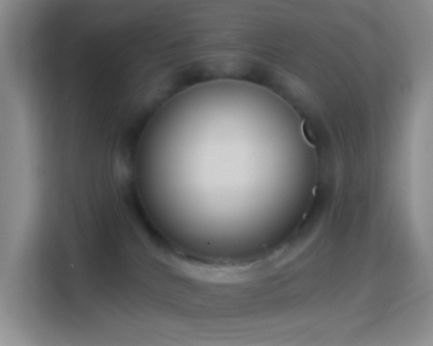 X0000114440040200910231327