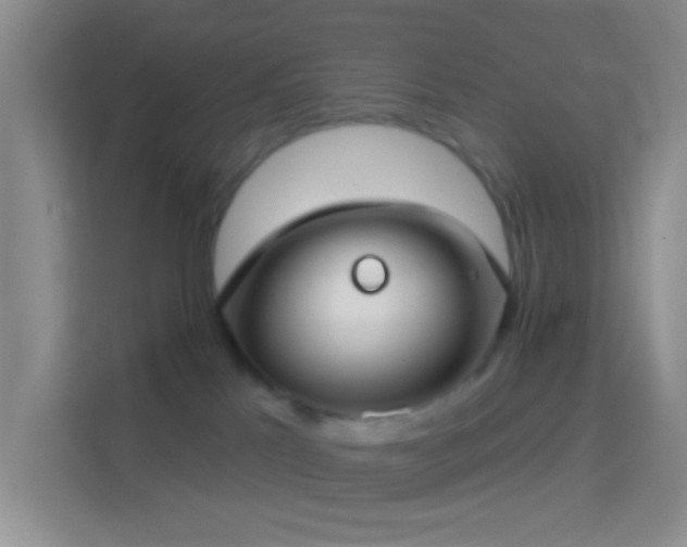 X0000114440041200910231327