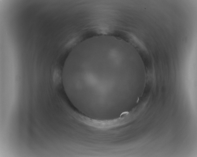 X0000114440043200910231327