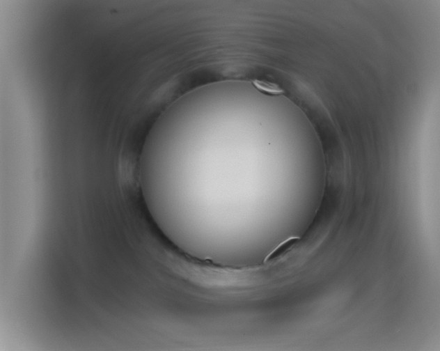 X0000114440044200910231327