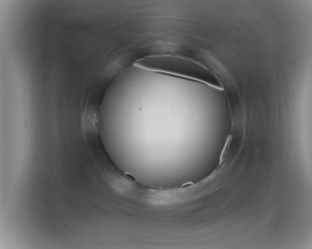 X0000114440045200910231327